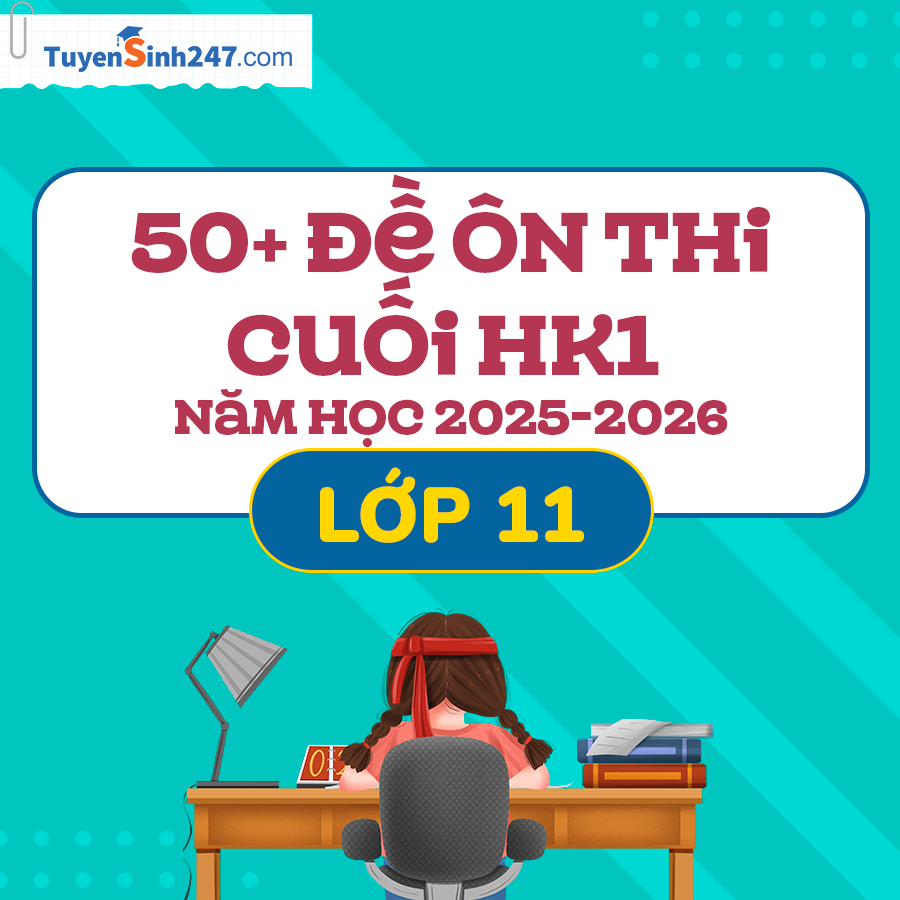 Lớp 11